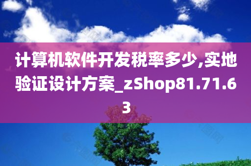 计算机软件开发税率多少,实地验证设计方案_zShop81.71.63