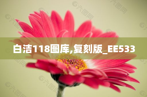 白洁118图库,复刻版_EE533