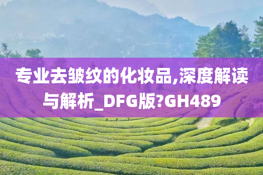 专业去皱纹的化妆品,深度解读与解析_DFG版?GH489