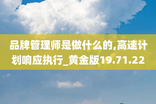 品牌管理师是做什么的,高速计划响应执行_黄金版19.71.22