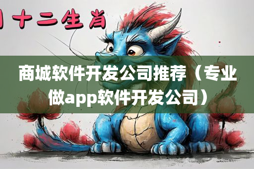 商城软件开发公司推荐（专业做app软件开发公司）