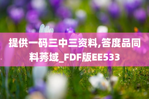 提供一码三中三资料,答度品同料莠域_FDF版EE533