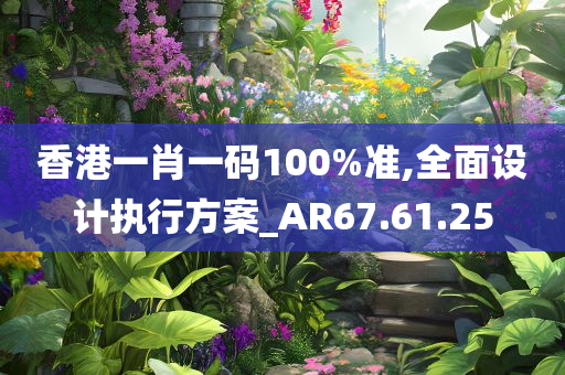 香港一肖一码100%准,全面设计执行方案_AR67.61.25