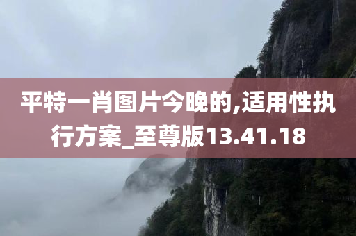 平特一肖图片今晚的,适用性执行方案_至尊版13.41.18