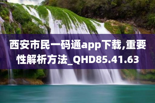 西安市民一码通app下载,重要性解析方法_QHD85.41.63