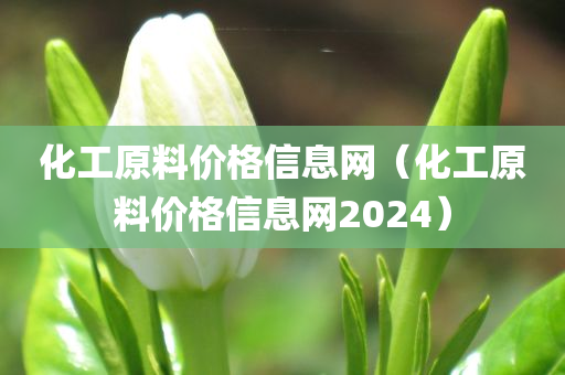 化工原料价格信息网（化工原料价格信息网2024）