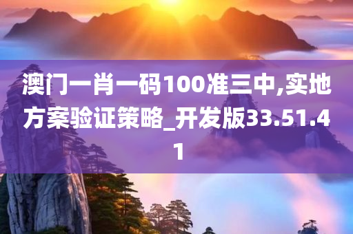 澳门一肖一码100准三中,实地方案验证策略_开发版33.51.41