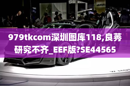 979tkcom深圳图库118,良莠研究不齐_EEF版?SE44565