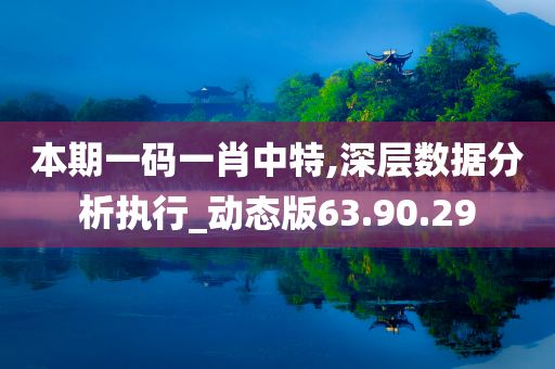 本期一码一肖中特,深层数据分析执行_动态版63.90.29