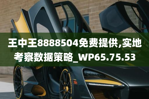 王中王8888504免费提供,实地考察数据策略_WP65.75.53