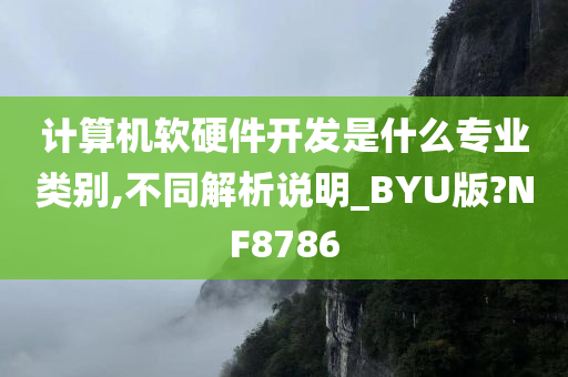 计算机软硬件开发是什么专业类别,不同解析说明_BYU版?NF8786