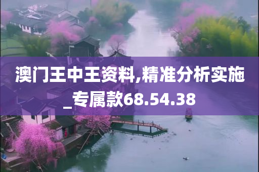 澳门王中王资料,精准分析实施_专属款68.54.38