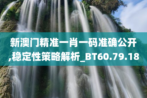 新澳门精准一肖一码准确公开,稳定性策略解析_BT60.79.18