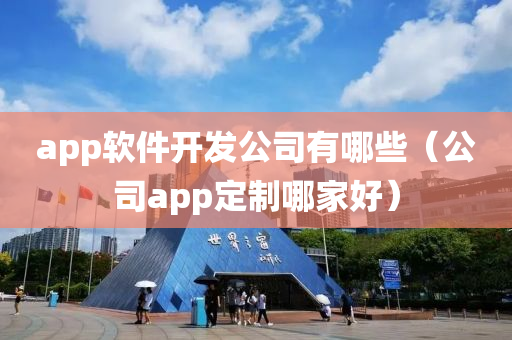 app软件开发公司有哪些（公司app定制哪家好）