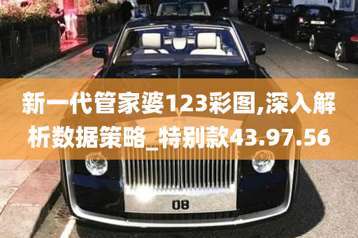 新一代管家婆123彩图,深入解析数据策略_特别款43.97.56