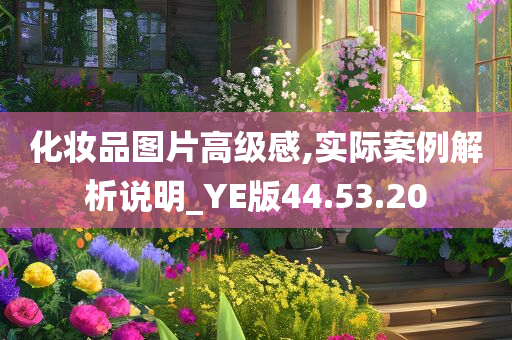 化妆品图片高级感,实际案例解析说明_YE版44.53.20