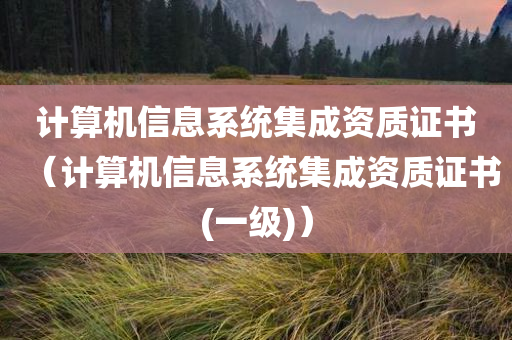 计算机信息系统集成资质证书（计算机信息系统集成资质证书(一级)）