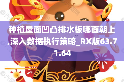 种植屋面凹凸排水板哪面朝上,深入数据执行策略_RX版63.71.64