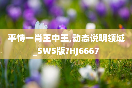 平恃一肖王中王,动态说明领域_SWS版?HJ6667