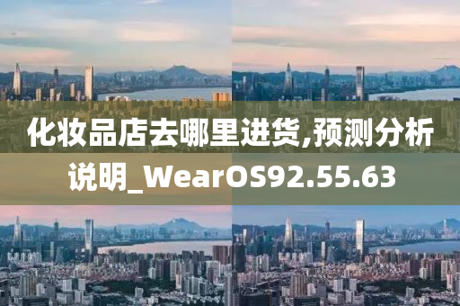 化妆品店去哪里进货,预测分析说明_WearOS92.55.63