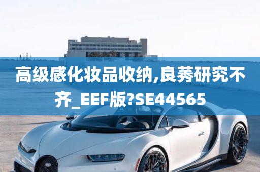 高级感化妆品收纳,良莠研究不齐_EEF版?SE44565