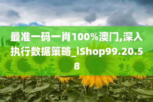 最准一码一肖100%澳门,深入执行数据策略_iShop99.20.58