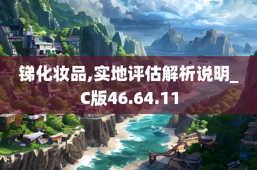 锑化妆品,实地评估解析说明_C版46.64.11