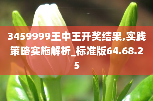 3459999王中王开奖结果,实践策略实施解析_标准版64.68.25