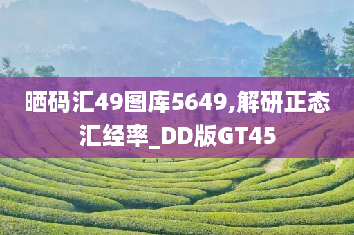 晒码汇49图库5649,解研正态汇经率_DD版GT45