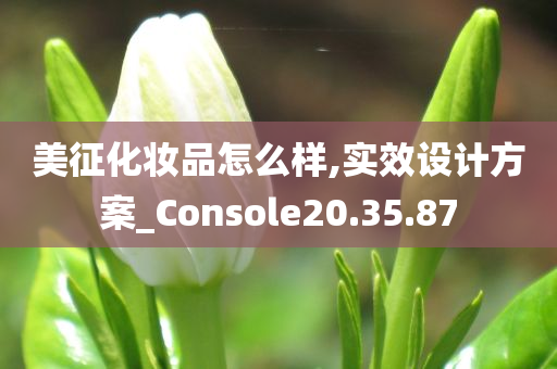 美征化妆品怎么样,实效设计方案_Console20.35.87