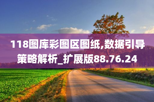 118图库彩图区图纸,数据引导策略解析_扩展版88.76.24