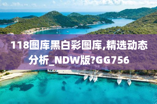 118图库黑白彩图库,精选动态分析_NDW版?GG756