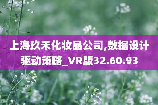 上海玖禾化妆品公司,数据设计驱动策略_VR版32.60.93