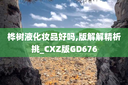 桦树液化妆品好吗,版解解精析挑_CXZ版GD676