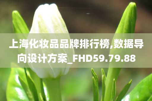 上海化妆品品牌排行榜,数据导向设计方案_FHD59.79.88