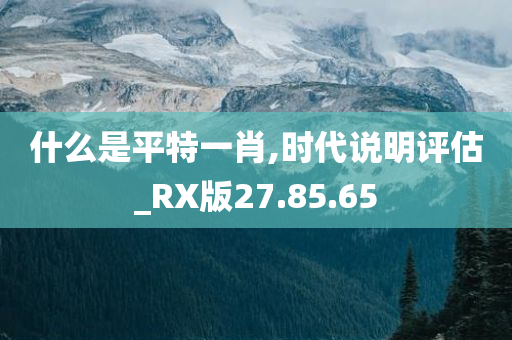 什么是平特一肖,时代说明评估_RX版27.85.65