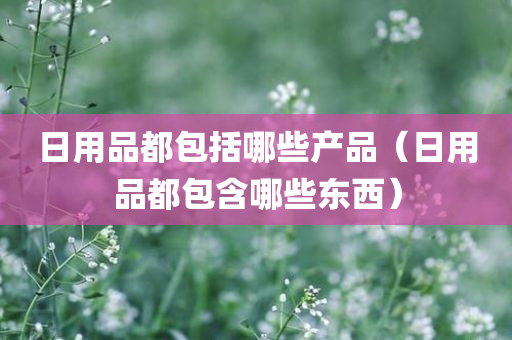 日用品都包括哪些产品（日用品都包含哪些东西）