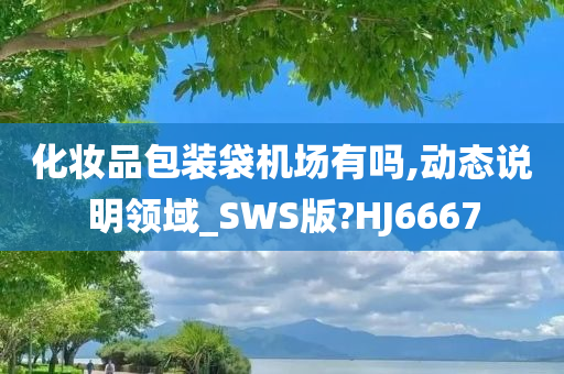 化妆品包装袋机场有吗,动态说明领域_SWS版?HJ6667