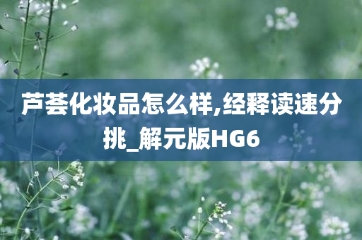 芦荟化妆品怎么样,经释读速分挑_解元版HG6