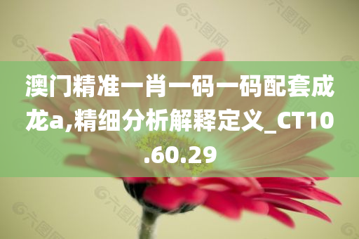 澳门精准一肖一码一码配套成龙a,精细分析解释定义_CT10.60.29