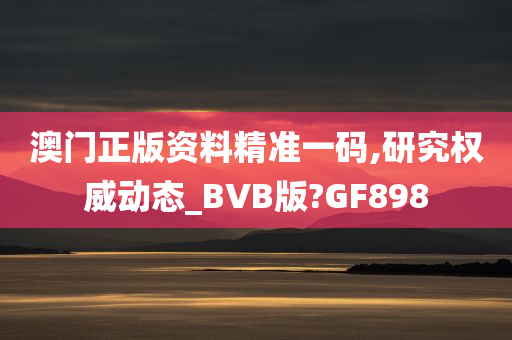 澳门正版资料精准一码,研究权威动态_BVB版?GF898