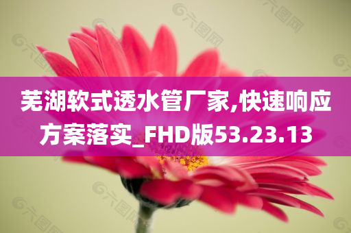 芜湖软式透水管厂家,快速响应方案落实_FHD版53.23.13