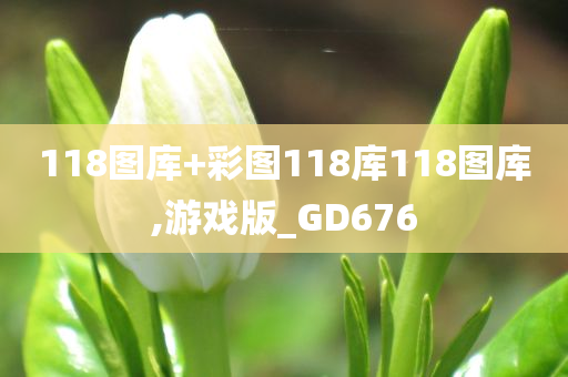 118图库+彩图118库118图库,游戏版_GD676