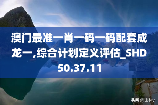 澳门最准一肖一码一码配套成龙一,综合计划定义评估_SHD50.37.11