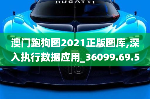 澳门跑狗图2021正版图库,深入执行数据应用_36099.69.50