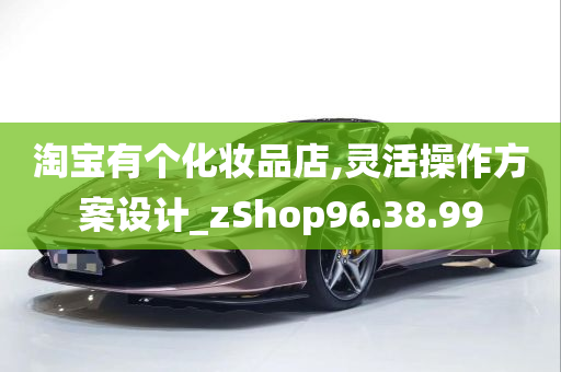 淘宝有个化妆品店,灵活操作方案设计_zShop96.38.99