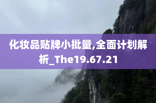 化妆品贴牌小批量,全面计划解析_The19.67.21