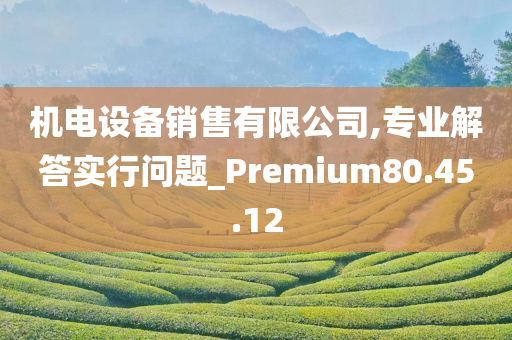 机电设备销售有限公司,专业解答实行问题_Premium80.45.12