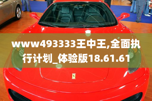 www493333王中王,全面执行计划_体验版18.61.61