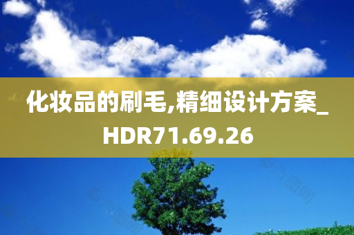 化妆品的刷毛,精细设计方案_HDR71.69.26